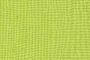 Линолеум Taralay Initial Comfort 0515 Kiwi фото  | FLOORDEALER